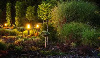 Backyard Garden Illuminated by LED Outdoor Garden Lighting photo