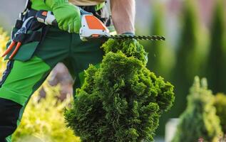 Caucasian Gardener Shaping Garden Plants Using Cordless Trimmer photo