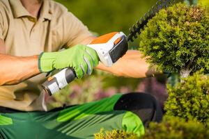 Shaping Plants Using Cordless Shrub Trimmer photo
