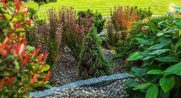 Small Rockery Garden Close Up Photo