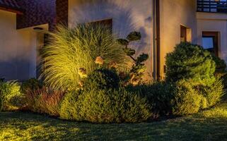 Night Time Illuminated Residential Backyard Garden photo