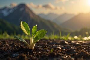 Close-up of a sprout covered with drops of morning dew. In the blurred nature background there are tall mountains, the height of which the sprout strives for. Ecology, motivation concept photo