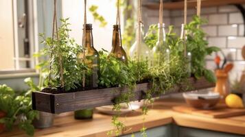 A DIY project for a hanging herb garden using recycled wine bottles providing fresh herbs for the kitchen while also repurposing everyday items photo