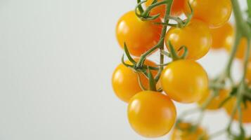 AI generated Fresh Yellow Cherry Tomatoes on Vine Isolated on White Background photo