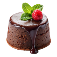 A molten center chocolate cake topped with a raspberry and mint leaf png