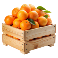 A crate full of ripe oranges with leaves, on a transparent backdrop png