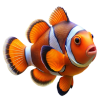 ein bunt Clownfisch schwimmt gelassen im sonnendurchflutet Wasser png