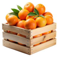 A wooden crate full of ripe oranges with leaves, isolated on transparent png