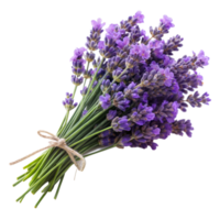 A bunch of lavender with a twine bow against a transparent background png