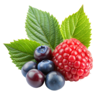 Blueberries, a raspberry, and leaves on a transparent backdrop png