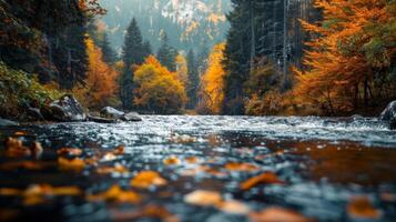 un calma río rodeado por otoñal colores representando el cambio de estaciones y el comienzo de triste. foto