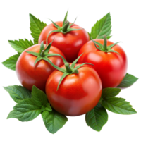 Three red tomatoes surrounded by vibrant green leaves png