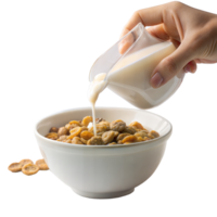 Pouring milk into cereal in a white bowl png