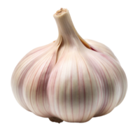 A close-up of a whole garlic bulb png