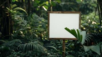 Blank mockup of ecotourism sign with facts about the ecosystem and its fragility photo