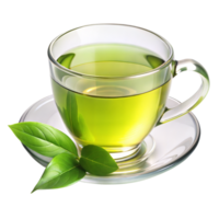 Green tea in a clear cup with two leaves, shot in daylight png