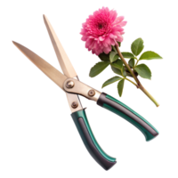 Pruning shears and a dahlia flower over transparent background png