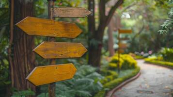 Blank mockup of themed directional signs matching the theme of each area within the park photo