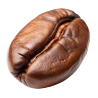 A detailed look at a roasted coffee bean png