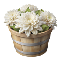 A basket filled with white flowers placed on a transparent background png