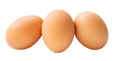 Front view of three fresh brown chicken eggs in stack isolated with clipping path in file format png