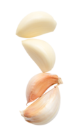 superiore Visualizza impostato di pelato e non pelati aglio Chiodi di garofano isolato con ritaglio sentiero nel file formato png