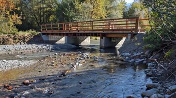 un especialmente construido temporal puente terminado un río diseñado a permitir para el seguro paso de migrando pescado durante el construcción de un nuevo puente foto