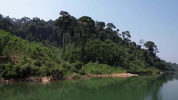 heiter Annamit Angebot Fluss mit üppig tropisch Wälder im Vietnam, Ideal zum Umwelt und Reise thematisch Projekte video