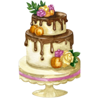 Watercolor wedding cakes clip art set png