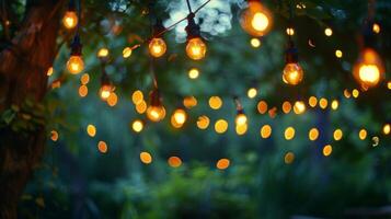 Soft string lights hanging above creating a dreamy atmosphere in the evening air. 2d flat cartoon photo