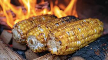 This cozy corn on the cob is a campfire favorite tender and sweet with a slight hint of smokiness from being cooked in the fireplace. Brushed with indulgent er and serve photo