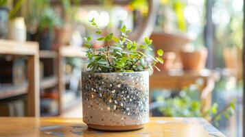 un inspirado en el terrazo cerámico plantador con un mezcla de terroso de colores arcilla piezas creando un natural orgánico mirar. foto