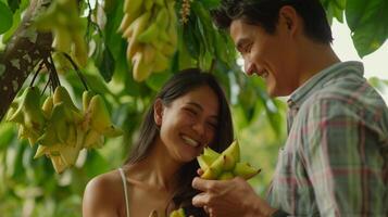 A young couple handpicking starfruits from a densely packed tree their laughter echoing through the quiet orchard photo