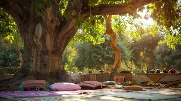A meditation session taking place under a large tree surrounded by uplifting messages and positive affirmations photo