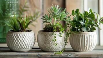 A charming set of pinchpot planters each showcasing a unique shape and adorned with a simple yet elegant handetched pattern. photo