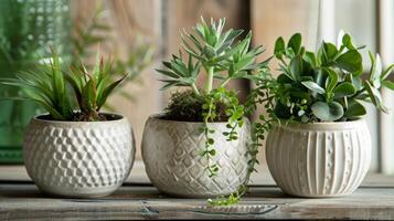 un encantador conjunto de pinchpot jardineras cada exhibiendo un único forma y adornado con un sencillo aún elegante grabado a mano modelo. foto