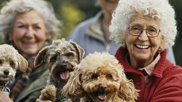 A group of seniors gathered in a park each holding a different breed of dog and smiling contentedly photo