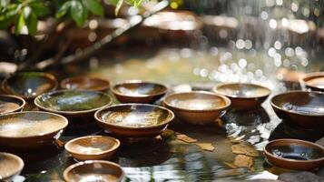 A set of ceramic bowls and plates all slightly uneven in shape and glazed in earth tones arranged artistically around a pond. photo