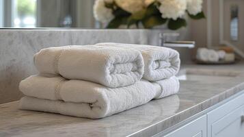 Detailed shot of a brushed nickel paper holder and towel rack displaying attention to detail in a minimalistic bathroom design photo