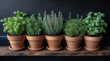 A topdown view of a kitchen windowsill herb garden showcasing an impressive ortment of herbs including rosemary thyme and parsley photo