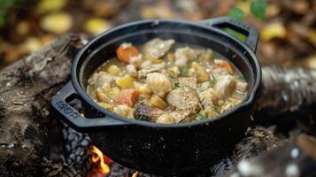 Amidst the sounds of rustling leaves and chirping birds the comforting smell of homemade chicken and dumplings wafts from the cast iron pot cooking over the open fire. Simpl photo