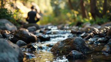 A stream flows through the forest providing a soothing soundtrack as the man meditates on the rocks photo