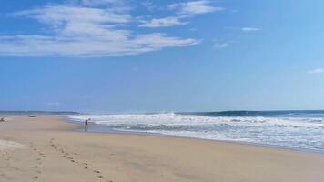 verbazingwekkend reusachtig groot surfer golven Bij strand puerto escondido Mexico. video