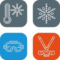 Snow Flake and Cold Icon vector