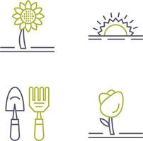 Sunflower and Sunshine Icon vector