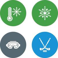 Snow Flake and Cold Icon vector
