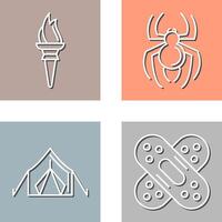 Torch and Spider Icon vector