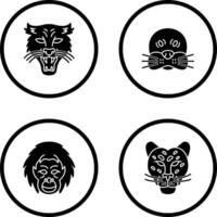 Puma and seal Icon vector