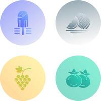 Popsicle and Watermelon Icon vector