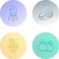 Popsicle and Watermelon Icon vector